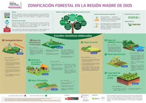 Infografía de Zonificación Forestal en Madre de Dios by Proyecto de