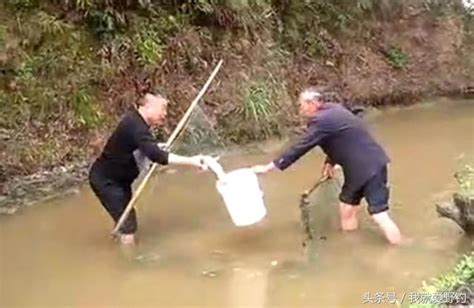 農村兩父子用一張網片捕魚，沒想到這魚獲讓人驚喜 每日頭條