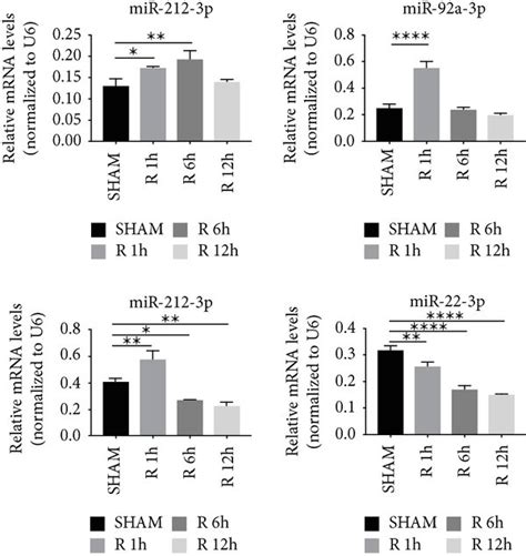 PTEN Was Transcriptionally Activated By AP 1 While Inhibited By