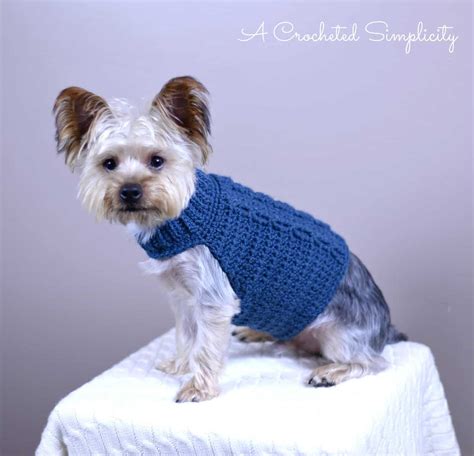 Cabled Crochet Dog Sweater