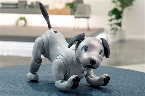 Old dog, new tricks: Sony unleashes 'intelligent' robot pet | ABS-CBN News