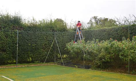 hedge trimming tree surgeons arboriculturalists