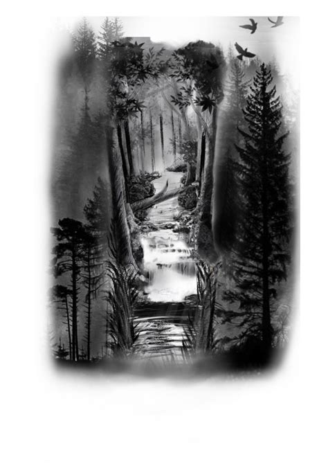 A Black And White Photo Of A Stream In The Woods With Birds Flying Over It