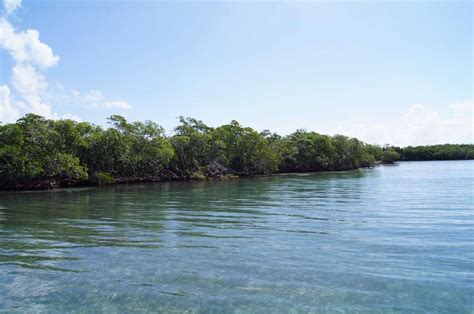 Spanish Lookout Caye Belize Central America Private Islands For Sale