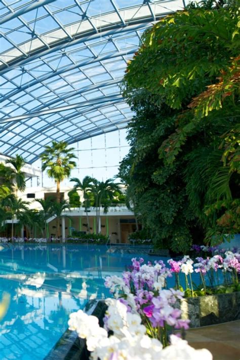 Bucharest Therme București Entry Ticket With Transportation Getyourguide