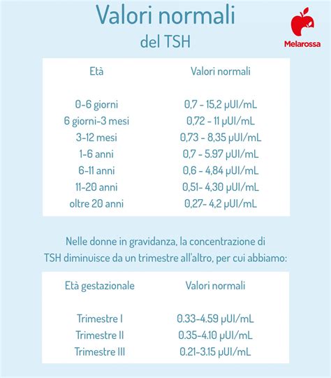 Tsh Alto E Gravidez - Tabela De Tsh Na Gravidez - ZULEDU