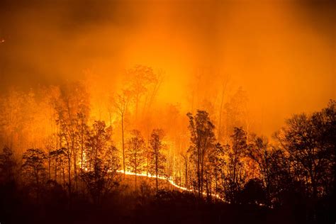 Wildfires – Conflagration Continues – Insurance Institute for Business ...