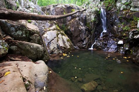 Rose River View Shenandoah National Park Association