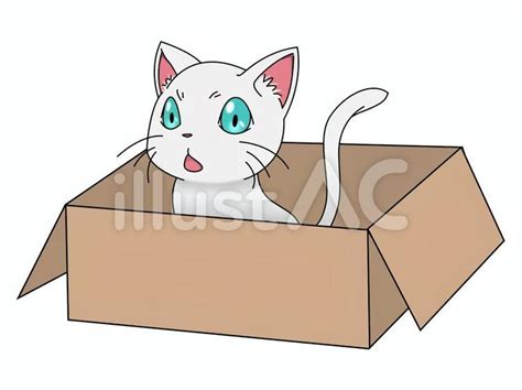 ダンボール箱に入った猫イラスト No 1935033／無料イラスト フリー素材なら「イラストac」