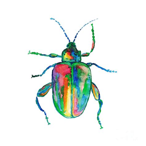 Colorful Beetle Painting Watercolour Painting By Maryna Salagub