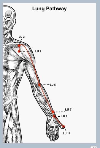 Points Pathways Flashcards Quizlet