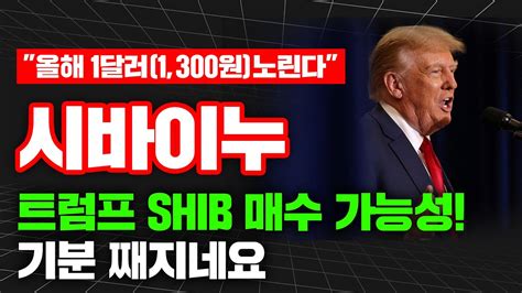 올해 1달러1300원노린다 시바이누 트럼프 Shib 매수 가능성 기분 째지네요 시바이누 시바이누전망 시바이누코인