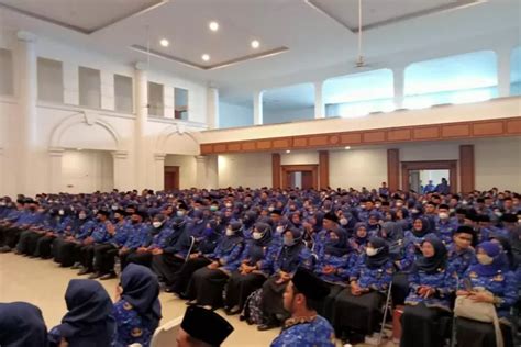 Habis Oleh Honorer Fresh Graduate Juga Masih Punya Kuota Masuk PPPK