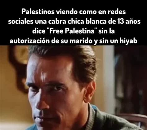 Redes Sociales Y El Free Palestina Meme Subido Por Gian Coronado