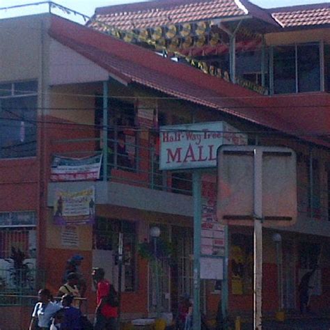 tree mall  tips   visitors