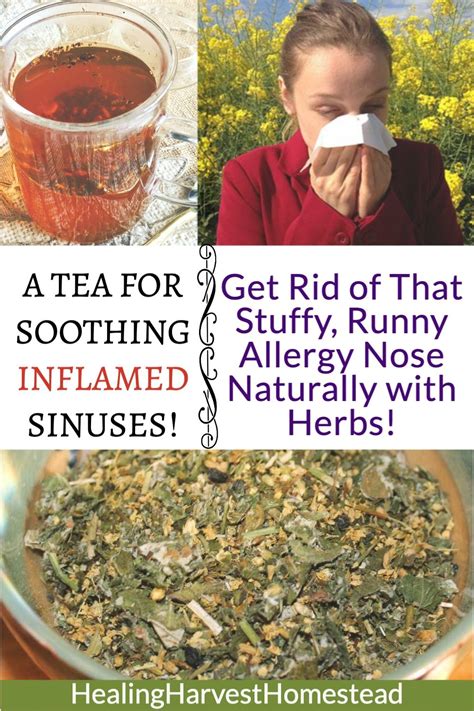 Tea For Soothing Inflamed Sinuses Get Rid Of That Stuffy Runny