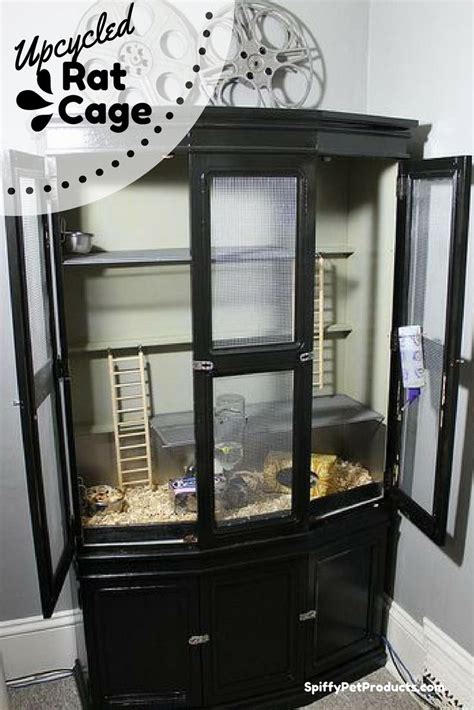 pet rat cage ideas        spiffy pet
