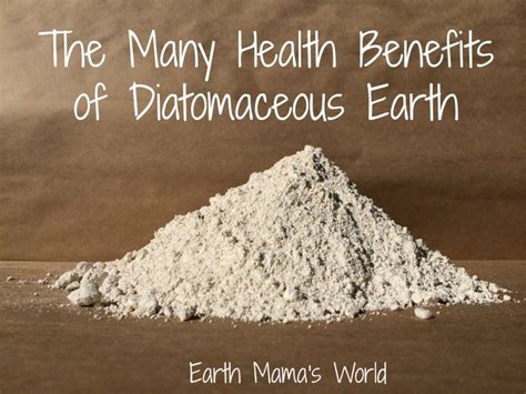 Diatomaceous Earth Garden Benefits