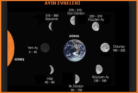 Dolunay Evresi DrBeckmann