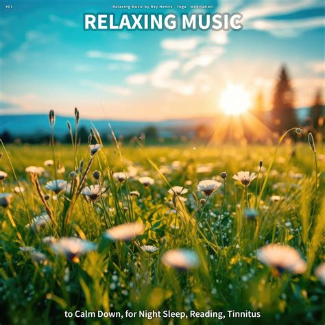 #01 Relaxing Music to Calm Down, for Night Sleep, Reading, Tinnitus