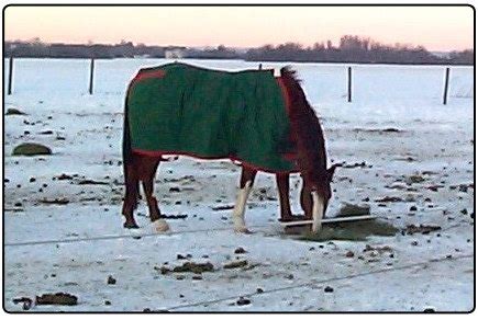 Horse Blankets - Custom Designs - Winter Blankets , Cordura, Cotton ...