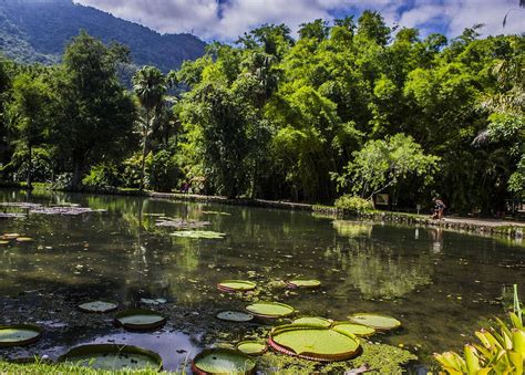 Tijuca National Park, Rio de Janeiro