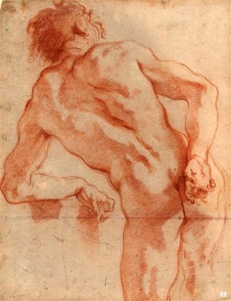 Thumbs Pro Hadrian Study Of A Male Nude From Behind Th Century