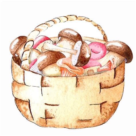 Premium Vector Wicker Basket With Mushrooms Watercolor Illustration