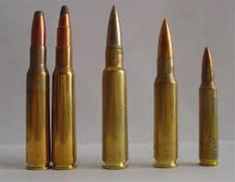 Best 7mm Hunting Cartridges (Virtual Shootout) - SkyAboveUs