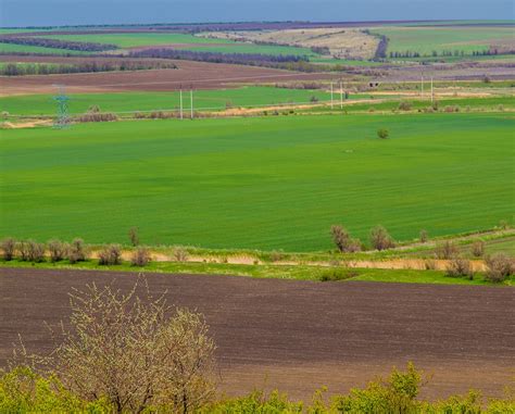 Greenfield-Entwicklung - ALCARO