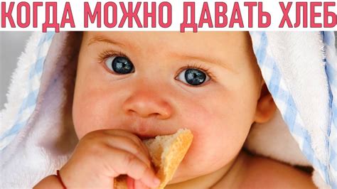 НЕ СПЕШИТЕ давать хлеб слишком рано | КОГДА МОЖНО НАЧИНАТЬ ДАВАТЬ ХЛЕБ ...