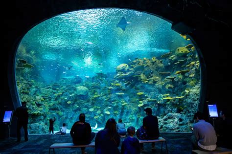 Membership | Seattle Aquarium