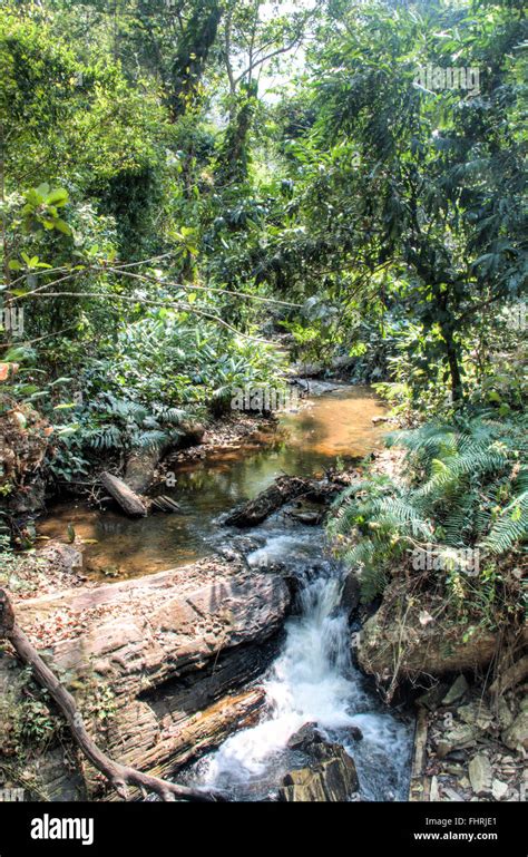 Volta river ghana hi-res stock photography and images - Alamy