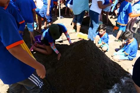 La Comunidad Activa volvió a las playas de Altata para ser testigo del