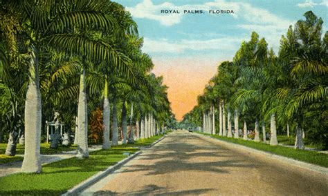 Royal Palms, Florida | ClipPix ETC: Educational Photos for Students and ...