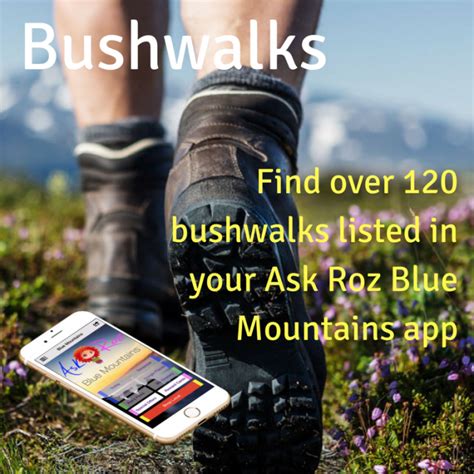 Ask Roz Blue Mountains Bushwalks Ask Roz