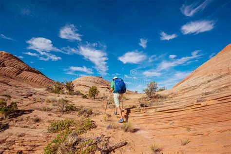 Hike in Utah stock image. Image of hiking, adventure - 231514103