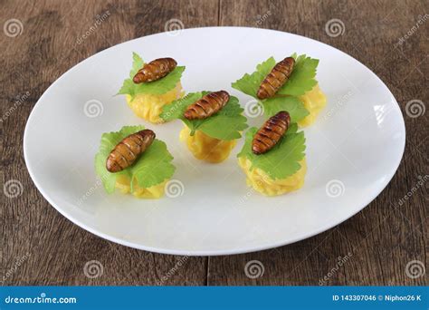 Insects Pupae Stock Image 102397621