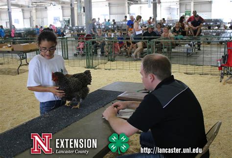 4 H County Super Fair 2016 Poultry Showmanship 04 Flickr