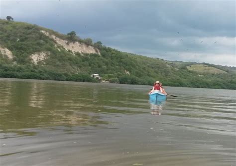 Info Estuario Del Río Chone Sucre Manabí Ecuador