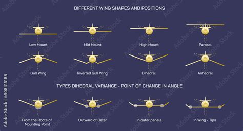 Airplane wings and positions vector illustration. Some important wing ...