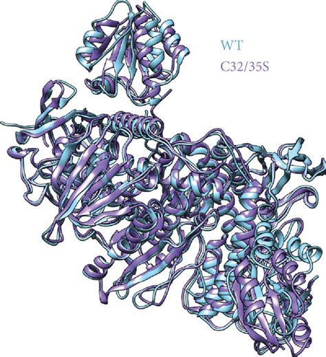 Molecular Dynamics Simulations Of The TrxR Trx Complexes A B RMSD