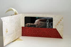 Slit Latch Gift Card Holder Tutorial Splitcoaststampers