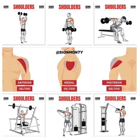 35 Of The Easiest Exercises You Can Do At Home In 2020 Shoulder