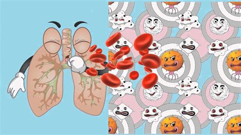 Bloodborne Pathogens Workplace Dangers And Disease Prevention Health