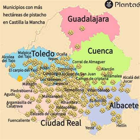 Lista 105 Imagen Provincias De Castilla La Mancha Mapa Interactivo