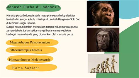 manusia purba  indonesiapptx