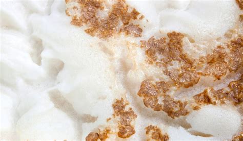 How to Save Yeast from Fermenter 