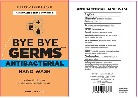 BYE BYE GERMS ANTIBACTERIAL HAND WASH WITH ORANGE ZEST AND VITAMIN C