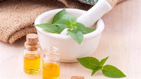 Ayurveda Tips To Improve Metabolism Dos And Donts You Must Remember